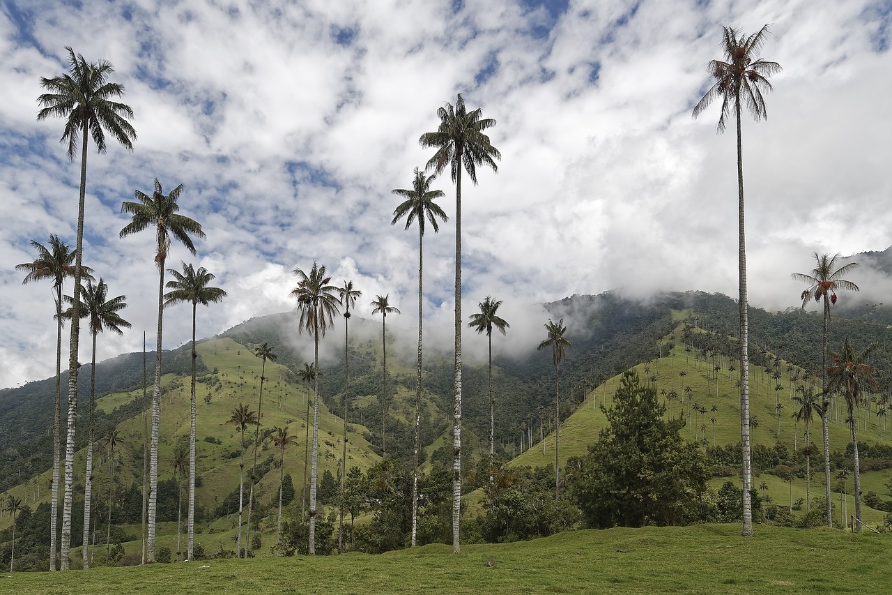 Colombia, Inversiòn Extranjera, Russell Bedford, Bogotà, Medellìn, Cali, Barranquilla, Cartagena.