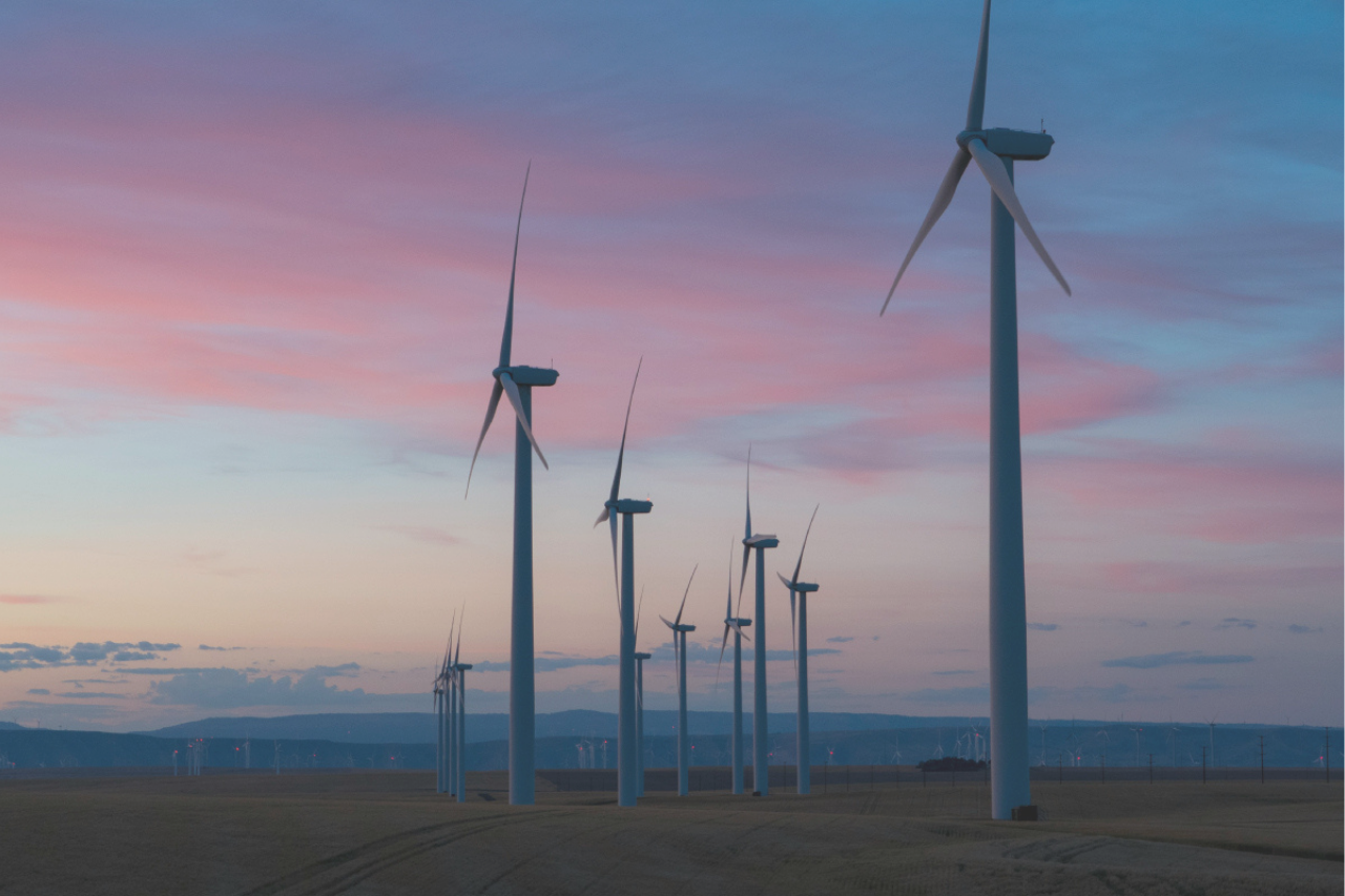 Sostenibilidad Empresarial en Colombia: Una mirada integral al cambio climático, la innovación tecnológica y la transparencia, Russell Bedford, Bogotá, Medellín, Cali, Barranquilla, Cartagena.
